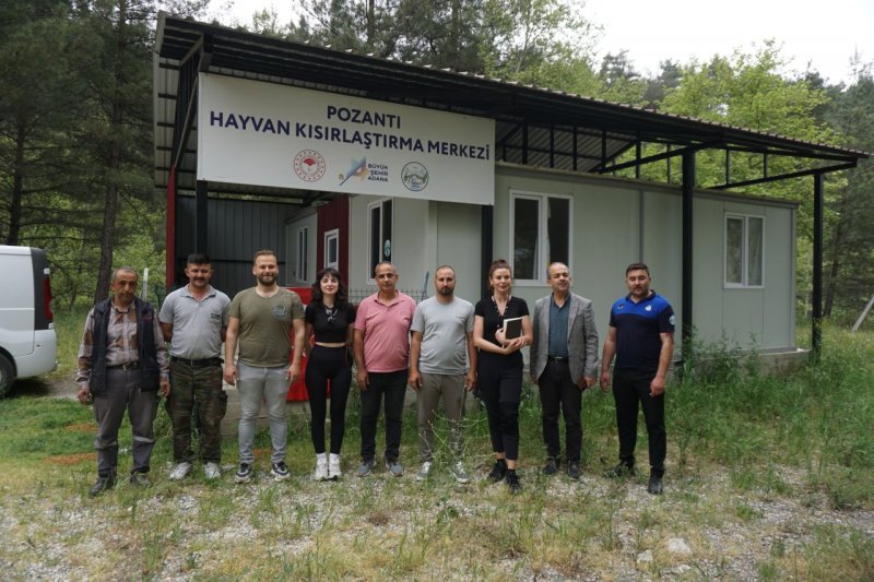 Pozantı Genelinde 1.000 Köpek Kısırlaştırılacak